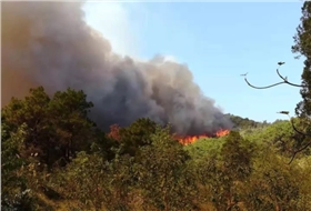 bb47800c618daf7e7f13d809e0d10c4a.png bb47800c618daf7e7f13d809e0d10c4a.png