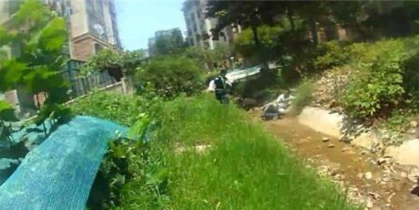 南京一小區(qū)保安勇抓小偷受重傷，業(yè)主自發(fā)捐款 7 萬(wàn)多元